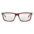 JASP 03, Havana Shiny-, hi-res image number null